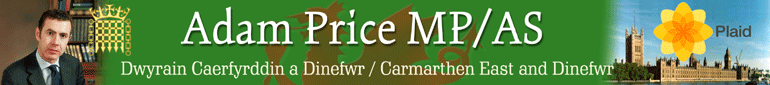 Adam Price MP / AS - Carmarthen East and Dinefwr